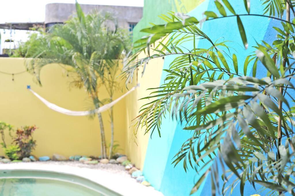 Studio -Sand At Mikasa- Fast Internet, King Bed, Pool, Near Beach, Ac Puerto Escondido  Exteriör bild
